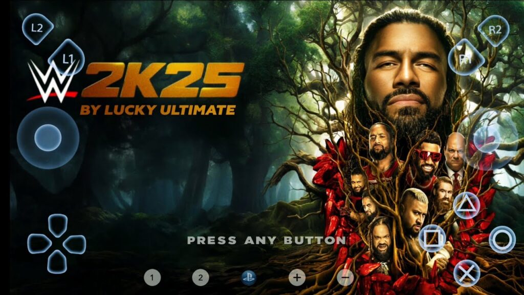 WWE 2K25 WII