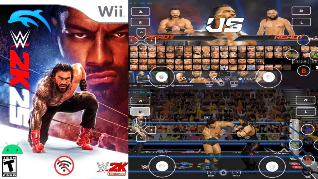 wwe 2k25 wii