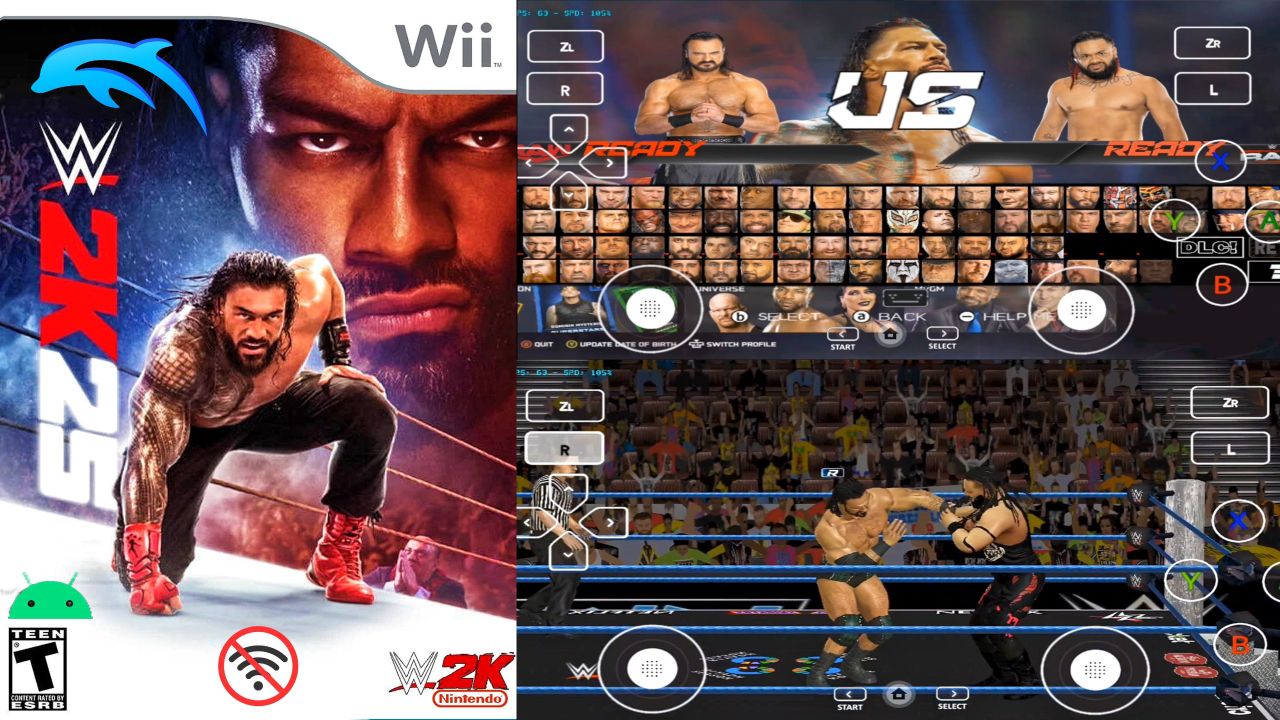 wwe 2k25 wii