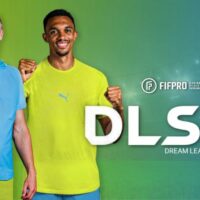 DLS 26 V2