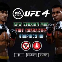 UFC 4 PSP