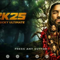 WWE 2K25 WII