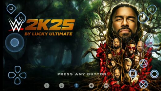 WWE 2K25 WII
